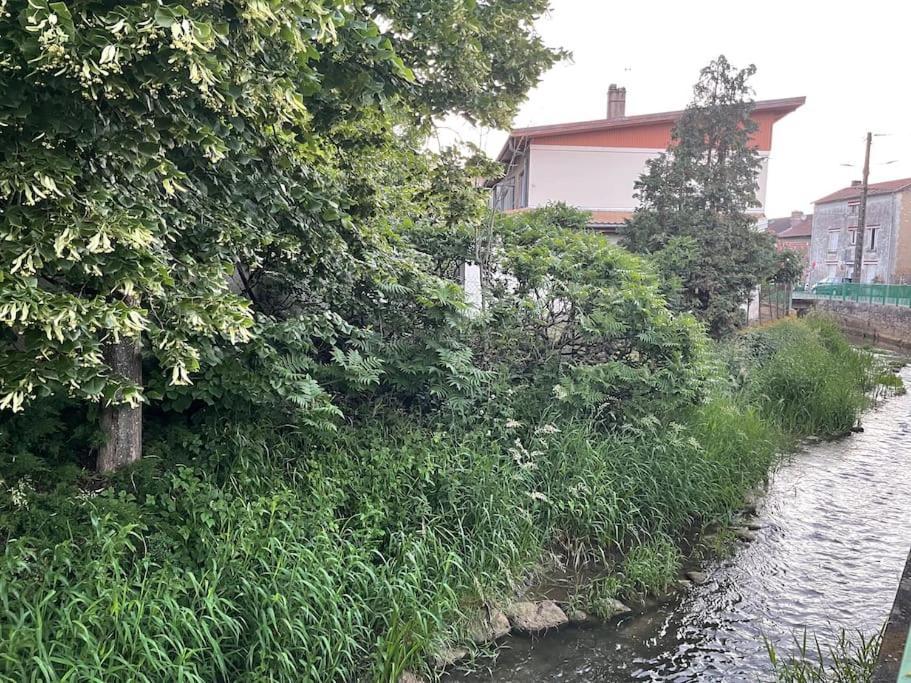 Appartement Dans Maison Avec Cour Et Parc Fresnes-en-Woevre Εξωτερικό φωτογραφία