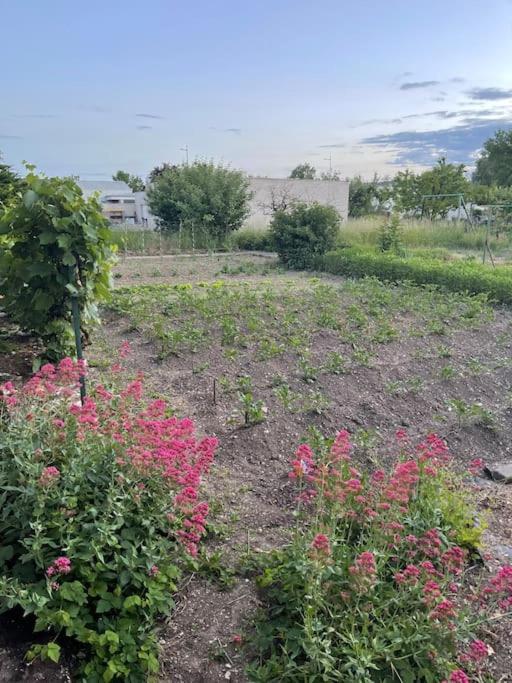 Appartement Dans Maison Avec Cour Et Parc Fresnes-en-Woevre Εξωτερικό φωτογραφία